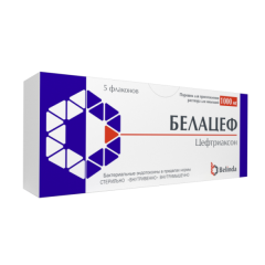 Белацеф